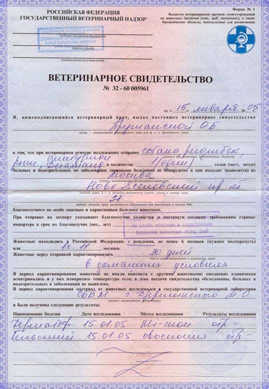 Справка для собаки по форме Ф1 Справка для собаки по форме Ф1